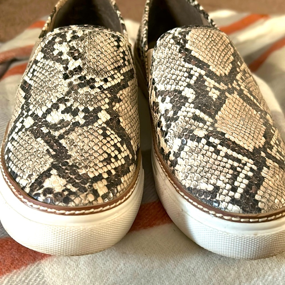 Steve Madden